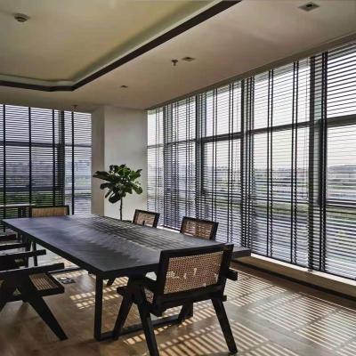 Chine 16-20-26-38-45mm Blinds à bobine électrique en aluminium parfait pour les maisons automatisées à vendre