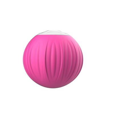 China Release Ball 4-Speed Fitness Yoga Massage Roller Handheld High Intensity Myofascial Vibration Adjustment Massager for sale