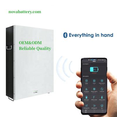 China Wall Mounted Storage Battery Toys OEM 51.2V 100AH 24V 10kwh 200AH Power Energy Solar Generator Lifepo4 Battery for sale