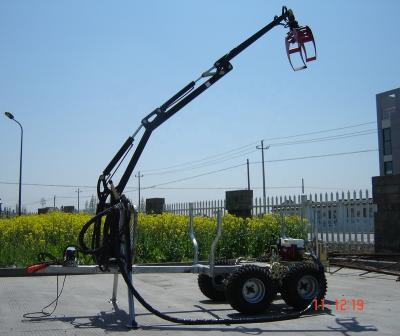 China High quality with CE certificate 4x4wd ATV timber trailer with crane and winch for sale