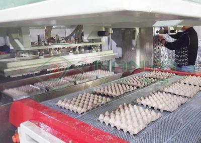 China Pulp molding machine for Disposable White Paper Molded Quail Egg Carton / Egg Tray with 90 Cavities for sale