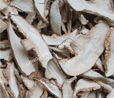 China Factory Dried Premium Bulk Dehydrated Dried Oyster Mushroom Mushroom Slices White Champignon Flakes Mushroom for sale