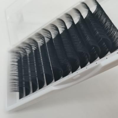 China Las extension supplies wholesale private label different long eyelash extensions natural lash extension trays lash trays for sale