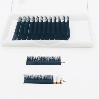 China Natural Long Lashes Kit Eyelash Extension Tray Eyelash Extension Tools Eyelash Washer Lashes Tools for sale