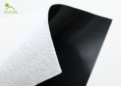Chine revêtement d'étang à poissons du HDPE 700g/M2, tissu composé de tissu de 150/0.25 Geo à vendre