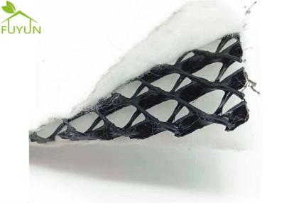 Chine cellule de Geocomposite de drainage de longueur de 200m avec le renfort de projet de tunnel de géotextile à vendre