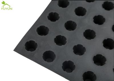 Chine Panneau de drainage de la fossette 1400gsm Geocomposite, drain de feuille de Geocomposite de HDPE à vendre