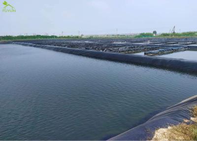 Chine contrôle de température de projet de géotextile d'oxygénation de Geomembrane de HDPE de 1.0mm à vendre