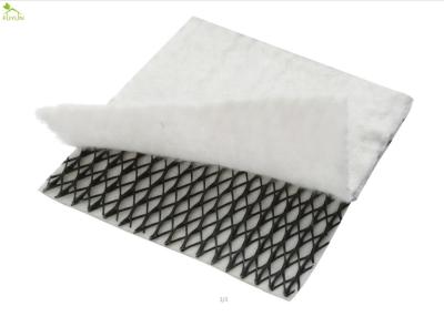 Chine Perforez le drainage Geocomposite de largeur de la résistance 2m pour la construction de souterrain à vendre