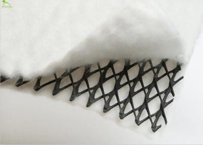 Chine Anti drainage Geocomposite de largeur de la racine d'herbe 2m pour le mur de soutènement à vendre