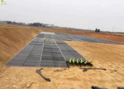 Chine Les vaches laitières cultivent l'anti infiltration de Geomembrane de tissu d'étang de HDPE effluent du revêtement 1.5mm à vendre