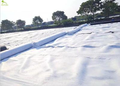 Chine imperméable imperméable de projet du géotextile 250g pour l'infrastructure municipale à vendre