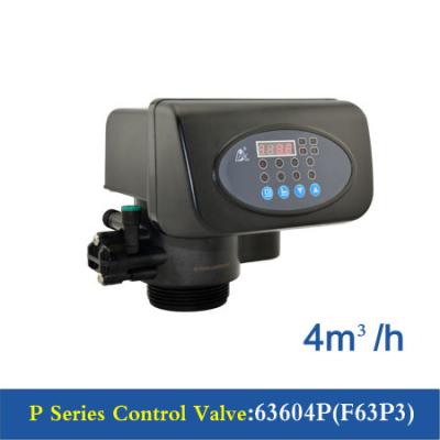 Κίνα Βαλβίδα Multiport Runxin/ηλεκτρονική βαλβίδα ελέγχου ροής του νερού 63504P (F63P1) προς πώληση