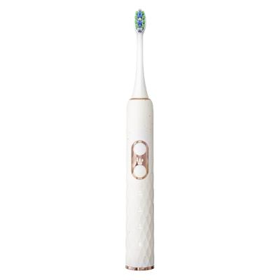 China BANNER Adult Sonic Electric Toothbrushes Automatic Brush 6 Timing Modes 850 mah for sale