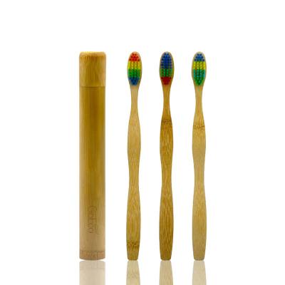 China 100% Natural Made Tube Eco Friendly Sustainable Rainbow Bamboo Toothbrush Container for sale