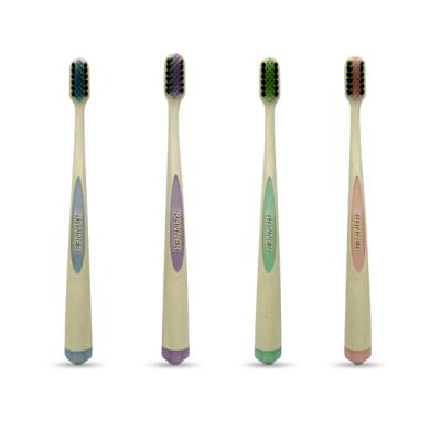 China Foldable Environmental Biodegradable Wheat Straw Toothbrush With Soft Black Charcoal Bristle Toothbrush for sale