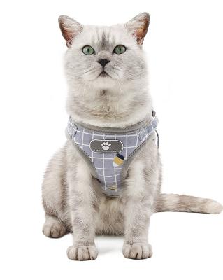 China Personalized Multi-Color Adjustable Pet Cat Harness and Leash for sale