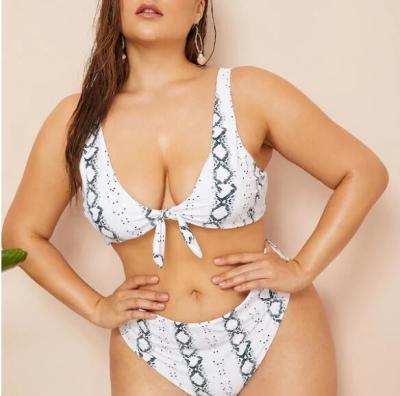China 2019 New Plus SizeTwo piece Swimsuit Women Push up for sale