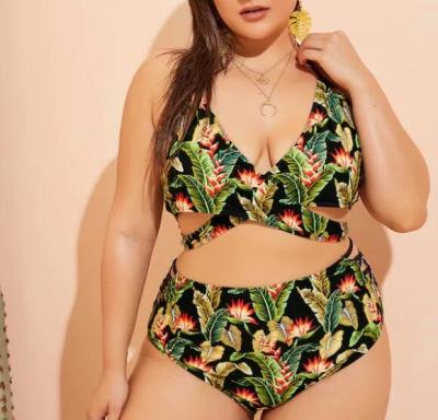 China 2019 New Plus SizeTwo piece Swimsuit Women Push up for sale