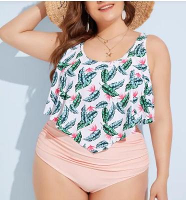 China 2019 New Plus SizeTwo piece Woman's swimwear Push up for sale