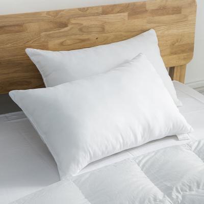 China Anti-Static In Running Luxury 100% PP Stomach Or Side Sleepers 5A Hotel Collection Bed Pillows For Sleep for sale