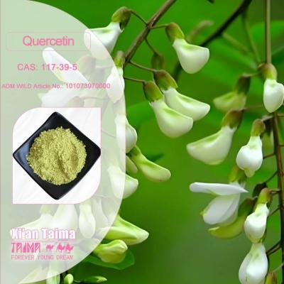 China Plant Extract Quercetin Powder 98% Sophora Japonica Extract CAS 117-39-5 for sale