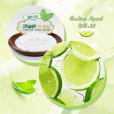 China Food Grade Cooling Agent Powder WS-23 for and Efficiency in Food and Beverage Industry with Maximum Cooling Effect for sale