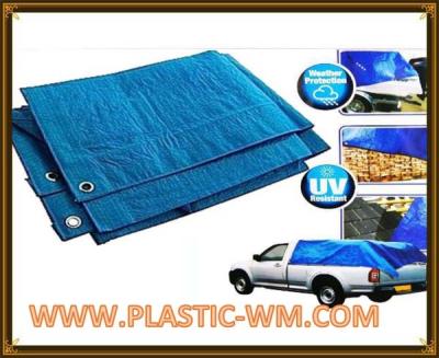 China Pe Material Tarpaulin/PE Tarps Fabric/Canvas Sheet for Outerdoor Use for sale