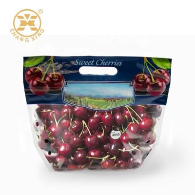 China 100g 500g drogen Fruit Verpakkende Zakken met Gat Vers Vriendschappelijk Cherry Stand Up Pouches Eco Te koop