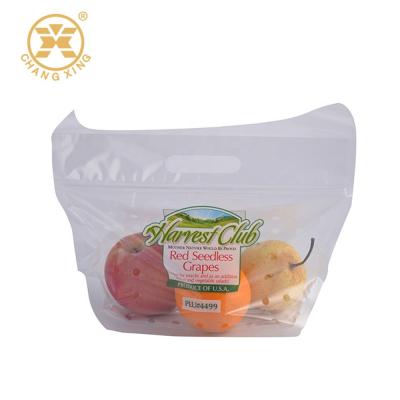 China 750g geperforeerd droog Antimist CPP Bopp van Fruit de Verpakkende Zakken voor Groente Te koop