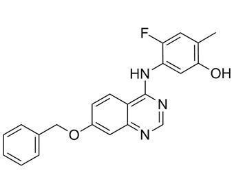 Chine Kinase de tyrosine de CAS 193001-14-8 VEGF R2 d'inhibiteurs de ZM323881 VEGFR in vitro à vendre