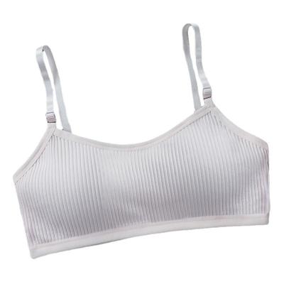 China Wholesale QUICK DRY design warm pure soft vest cotton color fashion girl top bra suitable for daily life for sale