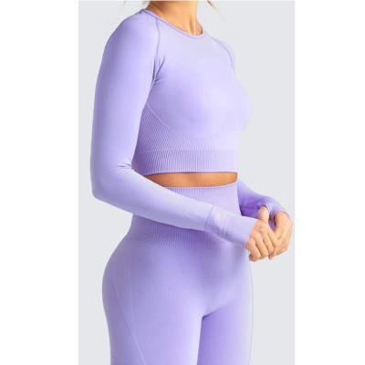 China Long Seamless Knitted Breathable Sheath Two Piece Seamless Sports Fitness Yoga Work Out Sets for sale