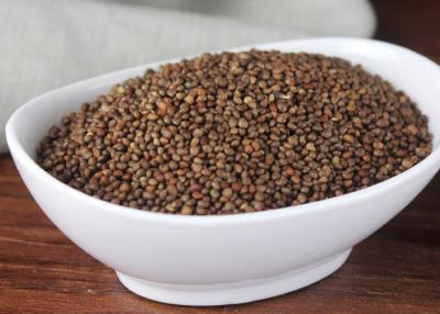 China 46 - El Perilla natural de Brown de los productos agrícolas del contenido de aceite del 52% siembra 2 - 3m m en venta
