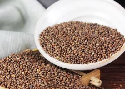 China Productos agrícolas naturales de la semilla de Brown Colorperilla de Heilongjiang en venta