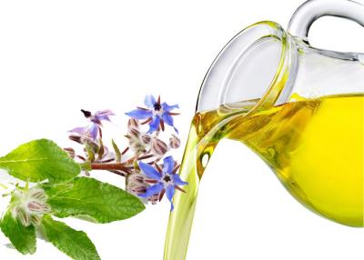 China Proceso planchado en frío coloreado amarillo de la extracción del aceite orgánico líquido de la borraja en venta