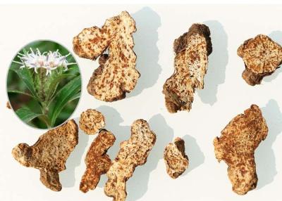Κίνα Μεγάλο διευθυνμένο Rhizoma Atractylodis, ιδιαίτερα ασφαλή κινεζικά χορτάρια για τη θεραπεία προς πώληση
