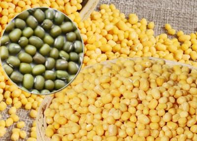 China Pureza sobre la haba de Mung natural del verde de Huskless de los productos agrícolas del 95% en venta