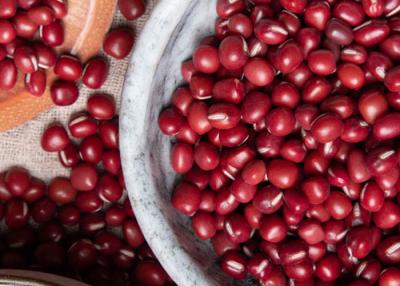China Haba roja natural de los productos agrícolas del ISO pequeña 24 meses de vida útil para la comida en venta