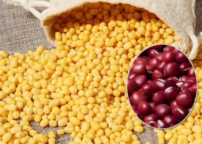 China Productos alimenticios agrícolas rojos pelados de las habas de Adzuki para mejorar inmunidad del cuerpo en venta