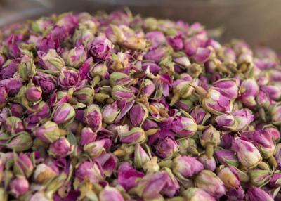 China El té superior Rose fresca de la fruta de la flor del grado florece la materia prima sin los añadidos en venta