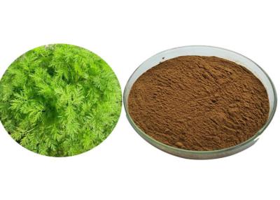 Κίνα Wormwood βαθμού τροφίμων αντιελονοσιακό Artemisia απόσπασμα Annua προς πώληση