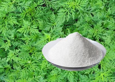 China Extracto de Annua de la artemisia de la pieza de la licencia del Artemisinin el 98% en venta