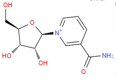 Cina Riparazione antinvecchiamento 1341-23-7 del DNA di supplemento della polvere di Riboside della nicotinammide di Cas in vendita