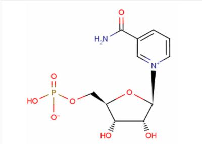 Cina Beta NMN mononucleotide Mw 334,22 della nicotinammide di CAS 1094-61-7 antinvecchiamento in vendita