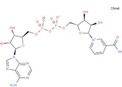 Cina Sale disodico Cas 606-68-8 di M.W 709,405 NADH in vendita
