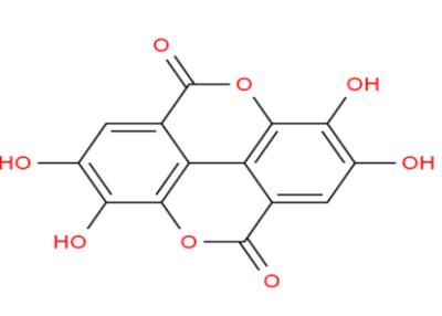 Cina CAS 476-66-4 estratti naturali acidi ellagici della pianta in vendita
