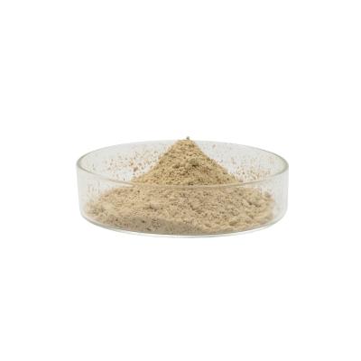 Cina Camellia Seed Extract Tea Saponin CAS 8047-15-2 anti infiammatori in vendita