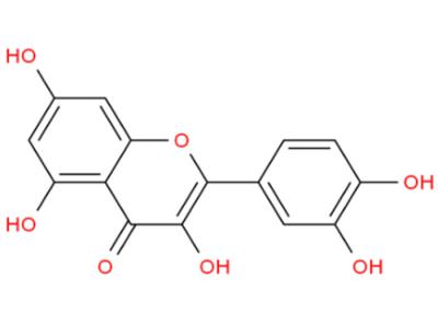 Cina Asmatico degli estratti naturali della pianta di Cas 117-39-5 di supplemento della quercetina del commestibile anti in vendita