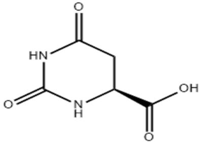 Cina Cas 5988-19-2 L aromatizzante rinfrescante acido Nucleoside And Nucleotide di Dihydroorotic in vendita